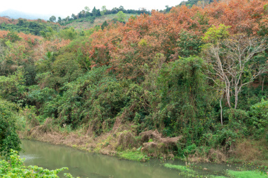 海南五指山春天的毛阳镇