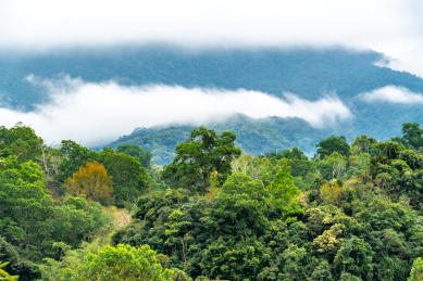 海南五指山春天的毛阳镇