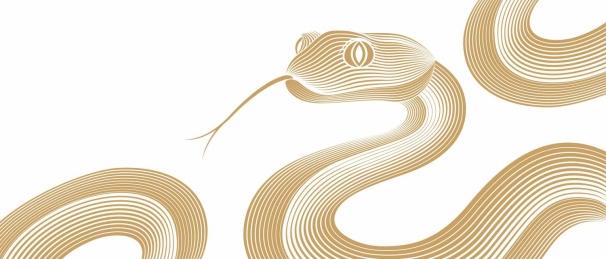 蛇艺术抽象绘画设计封面背景