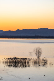 冬天的山东济宁邹城孟子湖日出朝霞自然风光