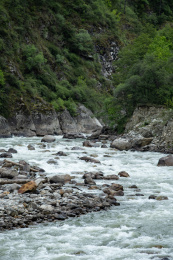 中国林芝鲁朗镇帕隆藏布