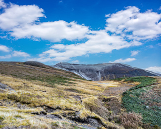 长白山西景区高山上的植被苔原带