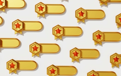 荣誉奖牌奖励目标成就等级3D