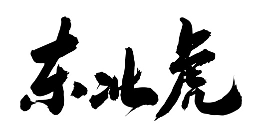 手写毛笔字中国书法东北虎