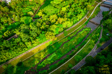 中国华南广东省深圳市罗湖区梧桐碧道风光