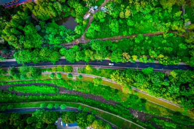 中国华南广东省深圳市罗湖区梧桐碧道风光