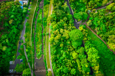 中国华南广东省深圳市罗湖区梧桐碧道风光