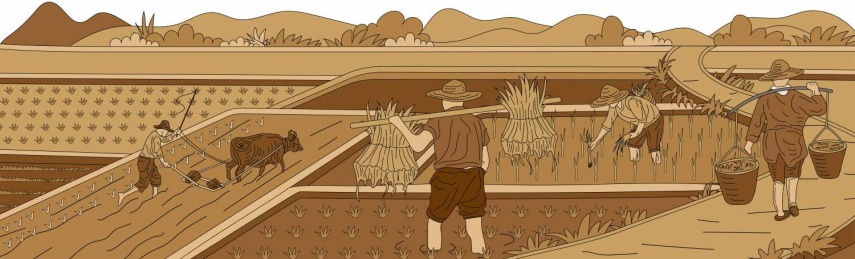 农耕矢量插画封面背景插图