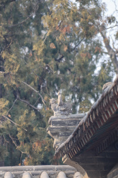 周口市淮阳区太昊伏羲陵文化旅游区
