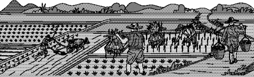 农业艺术封面背景绘画