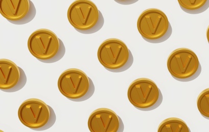 开通会员权限V字金币金属尊贵身份