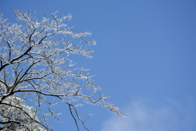  中国安徽省黄山市黄山风景区雾凇