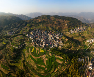 温州永嘉茗岙梯田