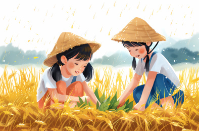 农民在金色麦田水稻里劳作的场景