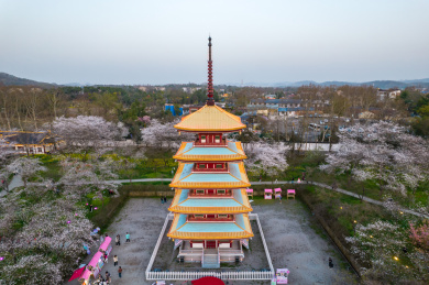 中国武汉市东湖磨山樱花园五重塔日落航拍