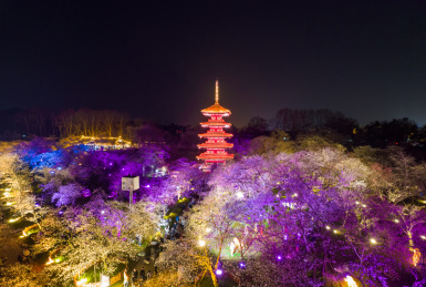 中国湖北省武汉市东湖磨山樱花园五重塔夜景