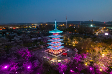 中国湖北省武汉市东湖磨山樱花园五重塔夜景
