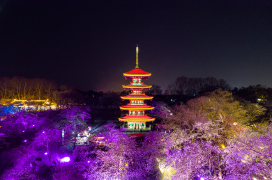 中国湖北省武汉市东湖磨山樱花园五重塔夜景