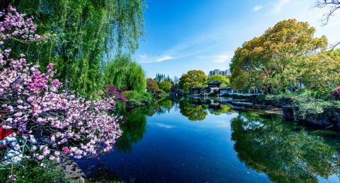 江苏苏州太仓南园