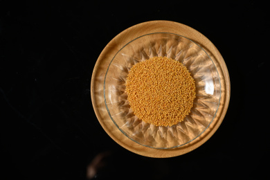 桌面上的盘子里的美味可口的黄芥子