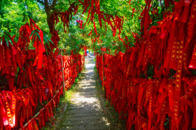 海南文昌铜鼓岭的许愿树红布条