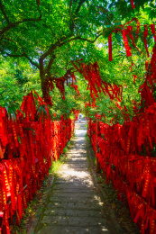 海南文昌铜鼓岭的许愿树红布条