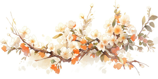 十二月花神日历淡彩系列之二月杏花