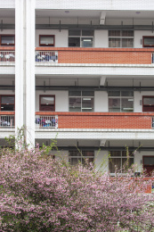 江苏省天一中学景观