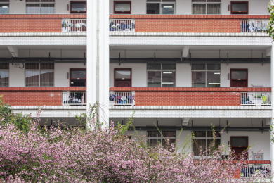江苏省天一中学景观