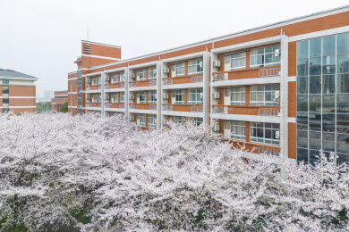 江苏省天一中学景观