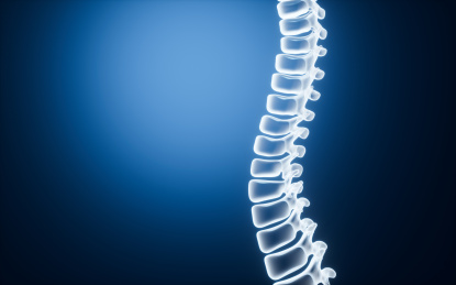 人类脊椎脊柱模型3D渲染
