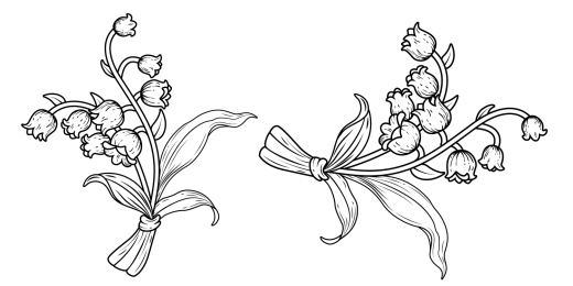 矢量铃兰花线条画简约场景