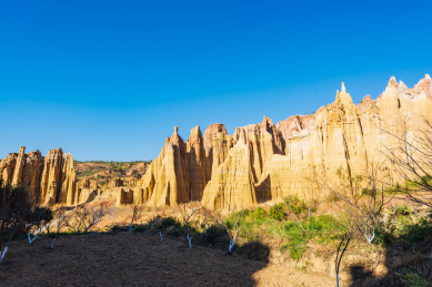 云南楚雄元谋土林景观