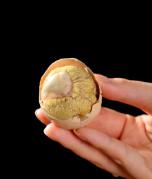 五香活珠子毛蛋