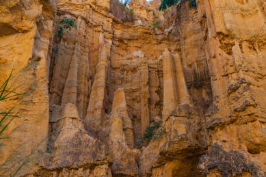 云南楚雄元谋土林景观