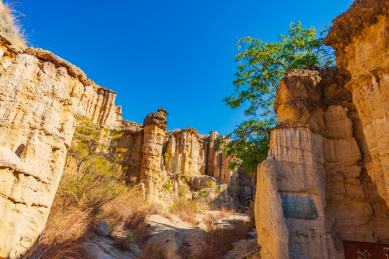 云南楚雄元谋土林景观