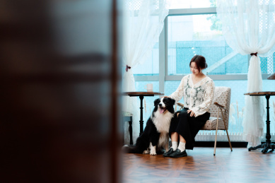 主人在抚摸狗狗的头