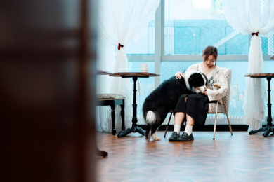 主人和狗狗在室内