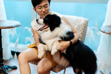 主人和狗狗在室内