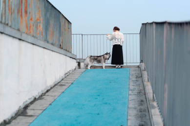 二哈和主人在户外