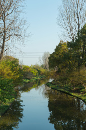 上海金山区花开海上生态园