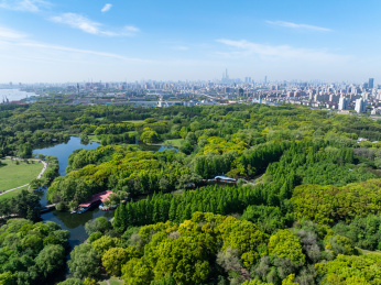 航拍上海城市公园共青森林公园都市风景