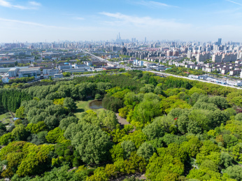 航拍上海城市公园共青森林公园都市风景