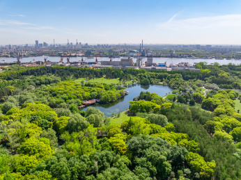 航拍上海城市公园共青森林公园都市风景