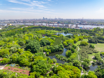 航拍上海城市公园共青森林公园都市风景
