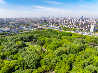 航拍上海城市公园共青森林公园都市风景