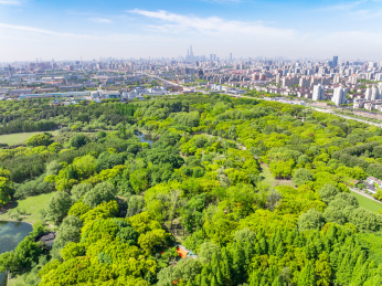 航拍上海城市公园共青森林公园都市风景