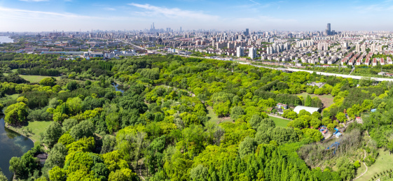 航拍上海城市公园共青森林公园都市风景