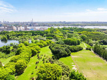 航拍上海城市公园共青森林公园都市风景