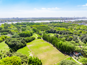 航拍上海城市公园共青森林公园都市风景